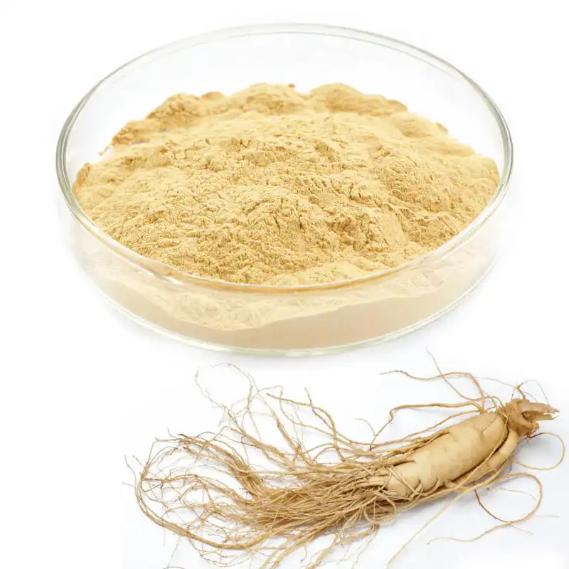 Is Your Ginseng Root Extract Powder Ready for Bulk Orders?